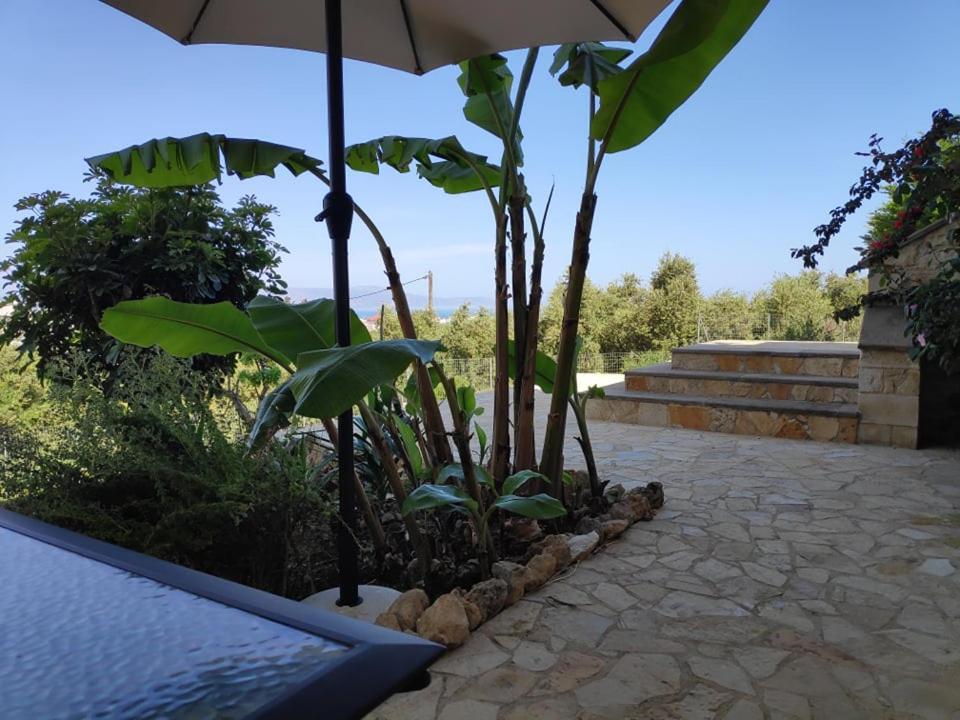 Xenia'S Countryside Guesthouse Agia Marina Exteriér fotografie