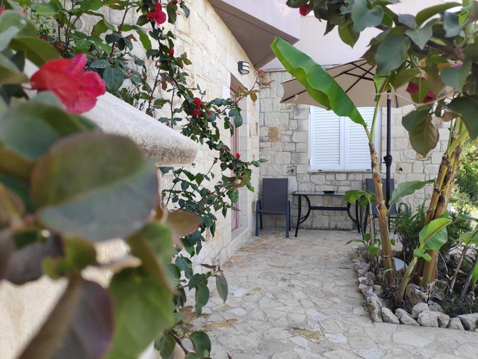 Xenia'S Countryside Guesthouse Agia Marina Exteriér fotografie
