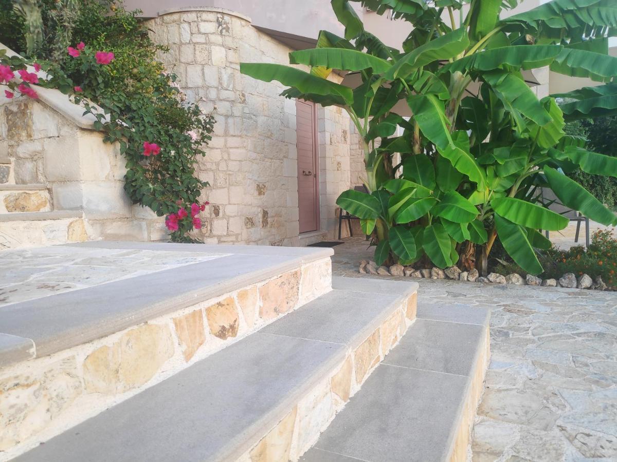 Xenia'S Countryside Guesthouse Agia Marina Exteriér fotografie